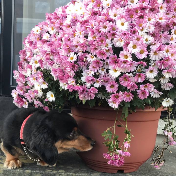 A7e73a96 25e8 42e0 aae2 7ff5661f1390 1542666125222