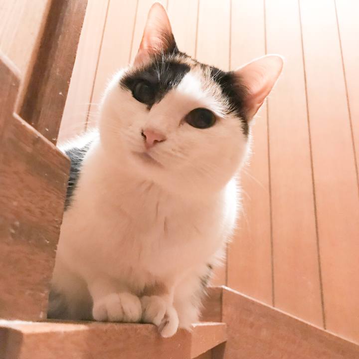 A7e765ee 763f 48aa 9695 3f48432ee45f 1521729551143