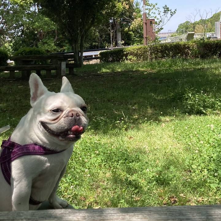 A7e7a8f8 3e6b 4e80 918e f49caf51427b 1714884252510