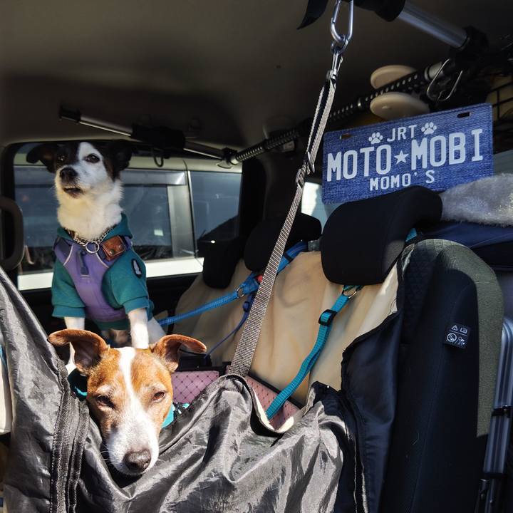 A7e7ac39 ccfc 4bc9 9107 3ee1e9baf605 1742516422418