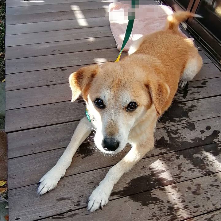 A7e7c6f7 8731 4ff4 ad60 b634a477c454 1576117307879