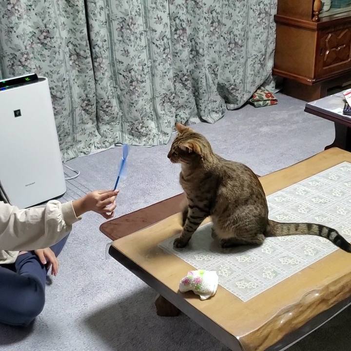 A7e7e71a f983 4440 a9fd 4f44dc264683 1704638463697