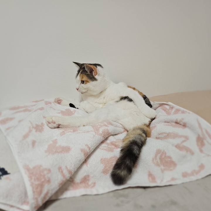 A7e7eb5d e2f0 40f7 91bb f8d1bd381ec7 1769647720687