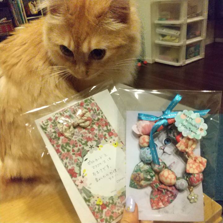 A7e82ffb 77ff 43ef 9f3c 7328ac185853 1629980433572