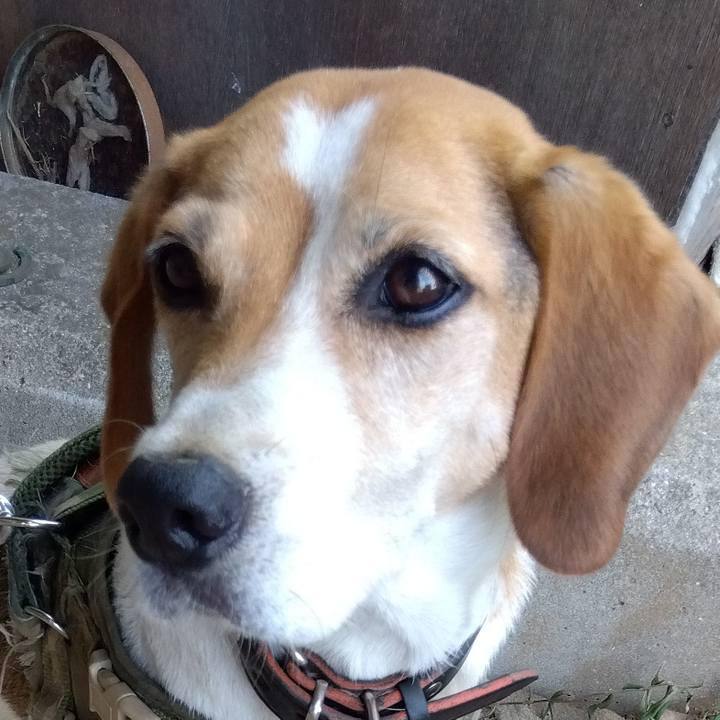 A7e832a0 5b65 4fd9 9eef 22853fda0cf2 1692163824916