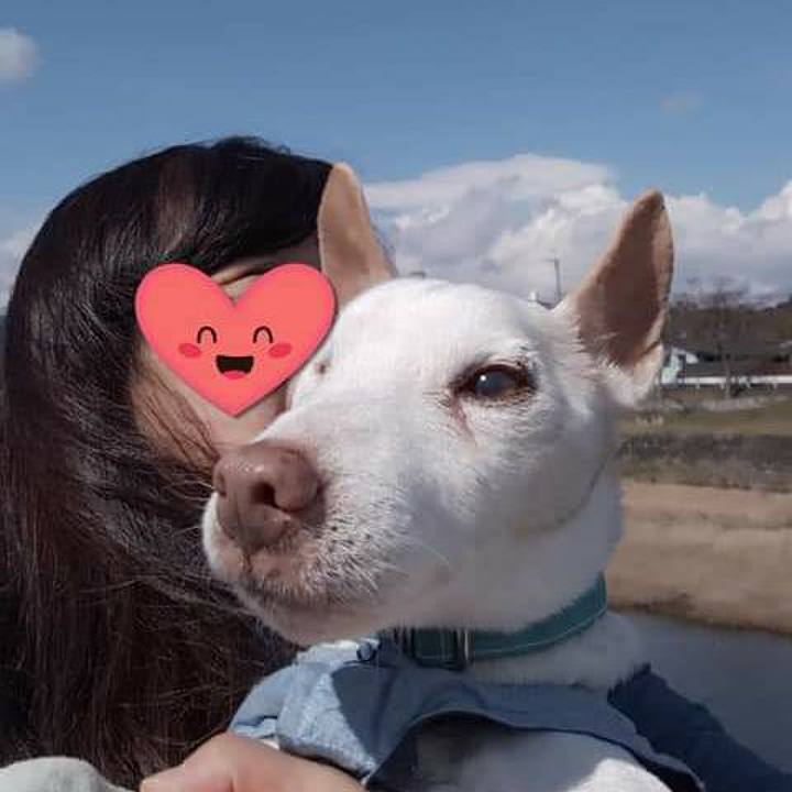 A7e871c3 62d1 44e7 9ebb 3c1414716fc8 1552806059753