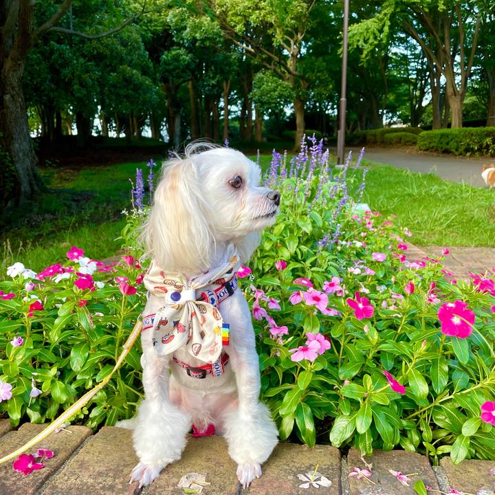 A7e8736c efca 4f80 a1d3 d6d12e9484fd 1625975364128