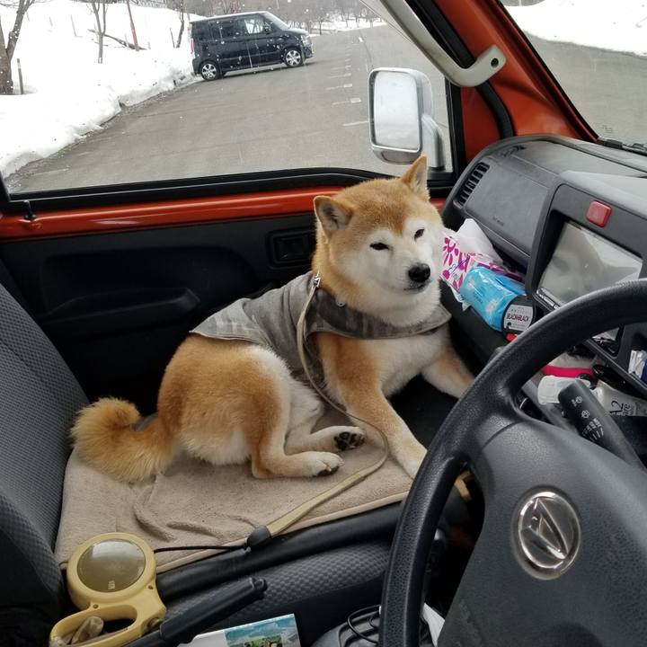 A7e87865 43bf 4fb6 92a3 80a0085af55b 1678419902263