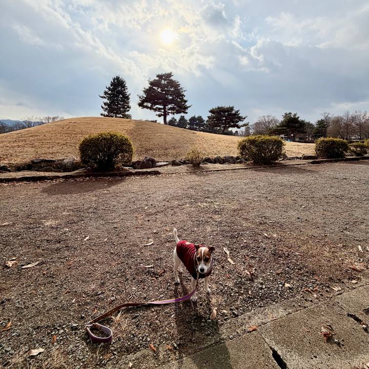 A7e89a69 e098 4d8a bfa0 d01117900333 1767607127517