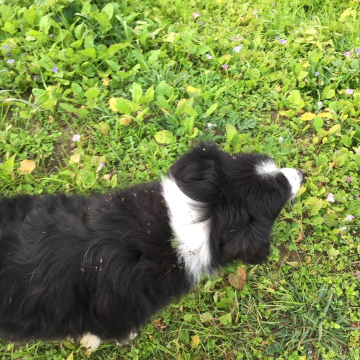 A7e8aefb 828c 4d53 aa84 d28f12c1ce47 1573081629439