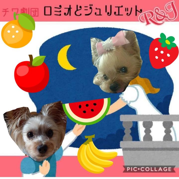 A7e8ba15 580c 4b22 a7a3 dd516e3b170c 1598273876144