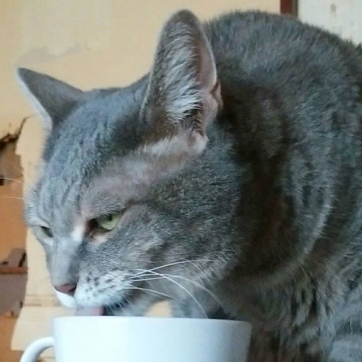 A7e8c665 80f5 425e a9f6 008b8ce196de 1535176978566