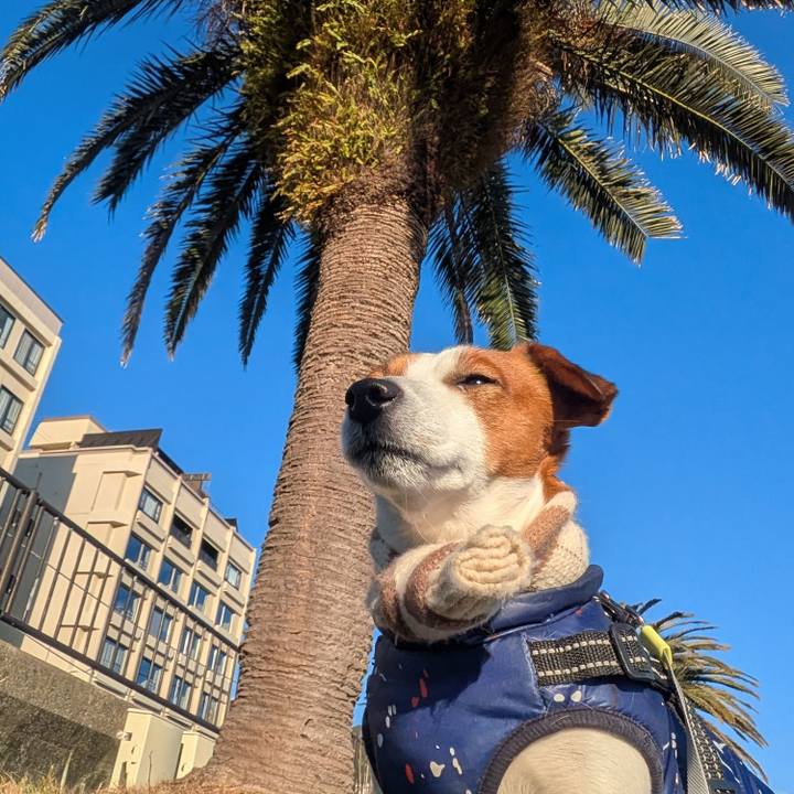 A7e91915 cac7 4143 90c7 c4739f194422 1739143622818