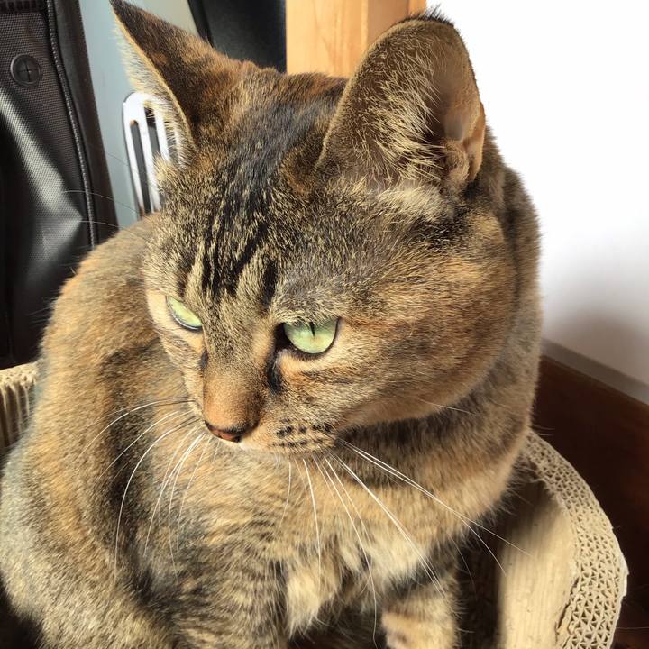 A7e91968 6c4b 4f92 ad2b b526355889fd 1736308319248