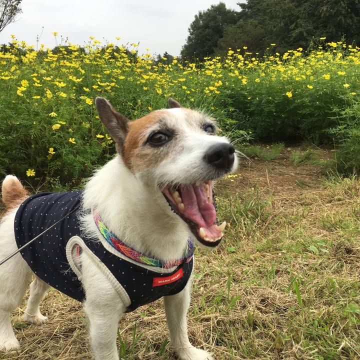 A7e937d2 844a 4901 b865 533b92efe0ea 1631489482032