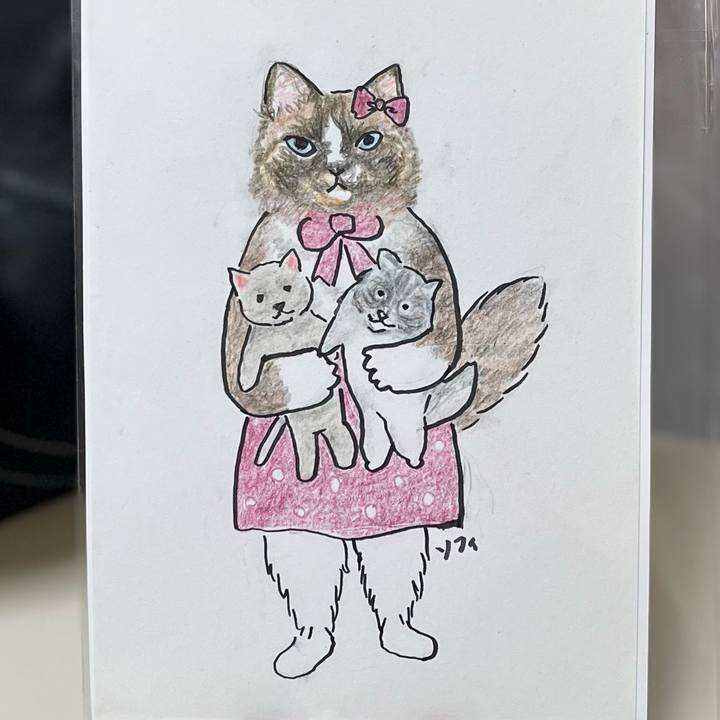 A7e9381d 3204 4e0c befb 794ad89c9bb8 1735097230229