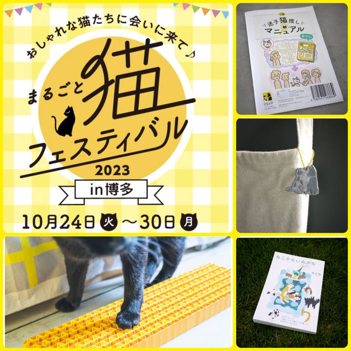 A7e943b3 4d1b 486f a45e 9f5a16f8c25b 1697668458713