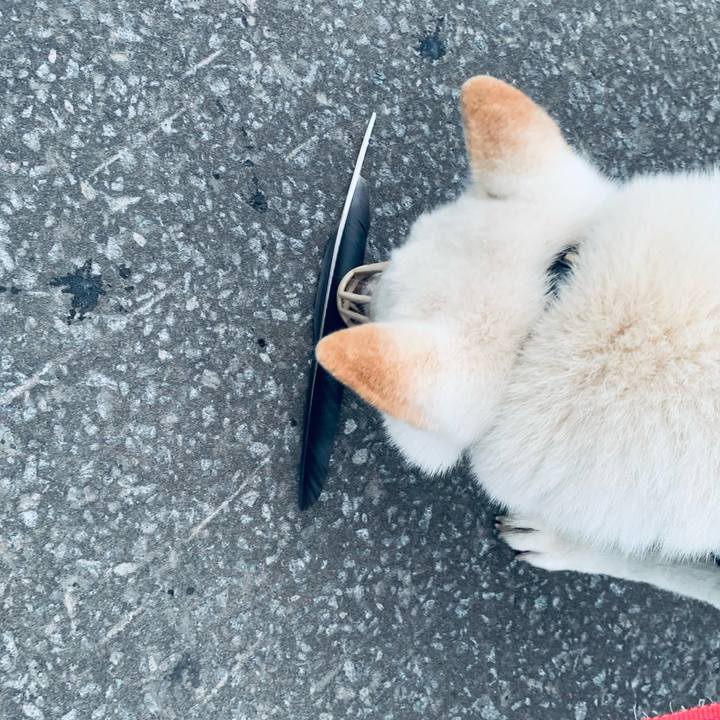 A7e953d5 dd55 4f26 9e4e bffe8770c454 1625170919681