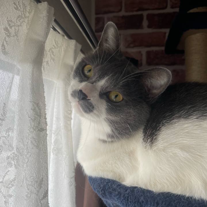 A7e96ceb 387e 4c83 9432 9136c3854bb2 1654470668990