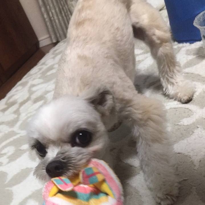 A7e97641 974d 4228 bbd5 480f975c6d87 1556357775670