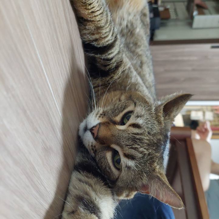 A7e97656 4e78 48ad 8750 29ac13184f23 1646084496045