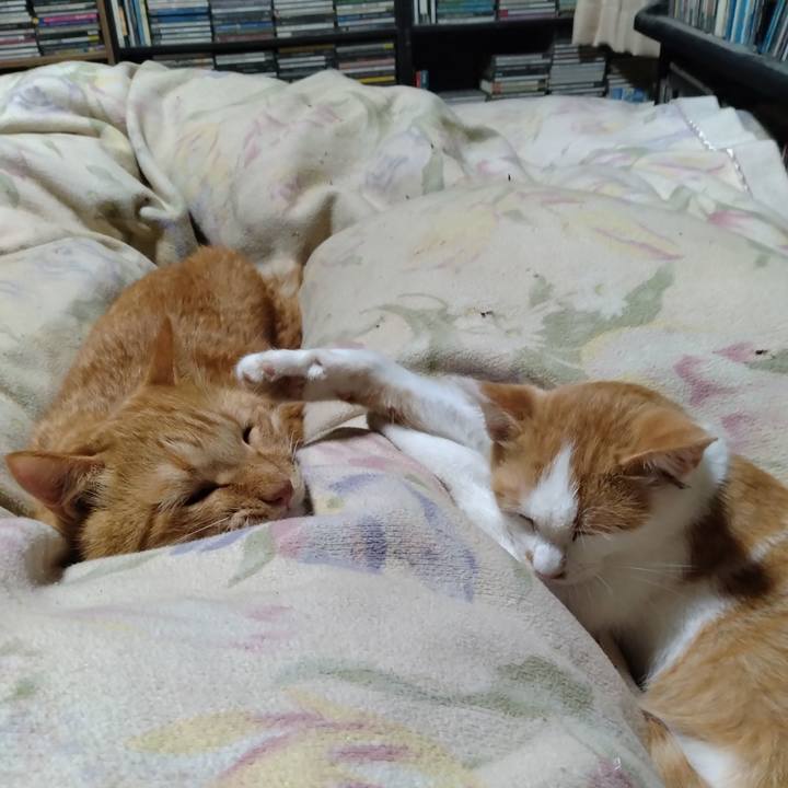 A7e97710 4cd4 4870 8188 1260700f3ff3 1730463820704