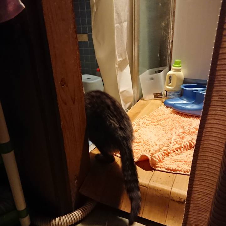 A7e97a84 0402 4b87 8f15 85c349f94099 1579165189564