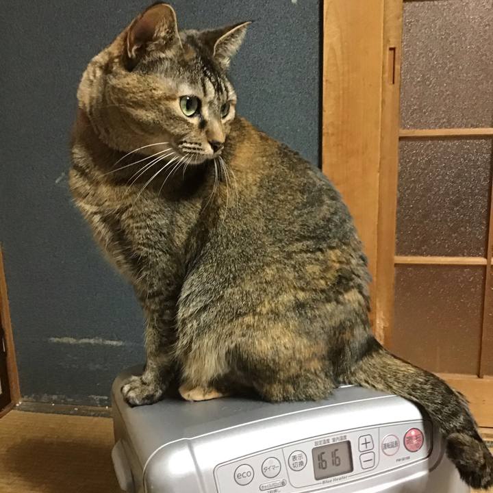 A7e9b146 2387 4815 b014 ed2957eb28ff 1703754846570