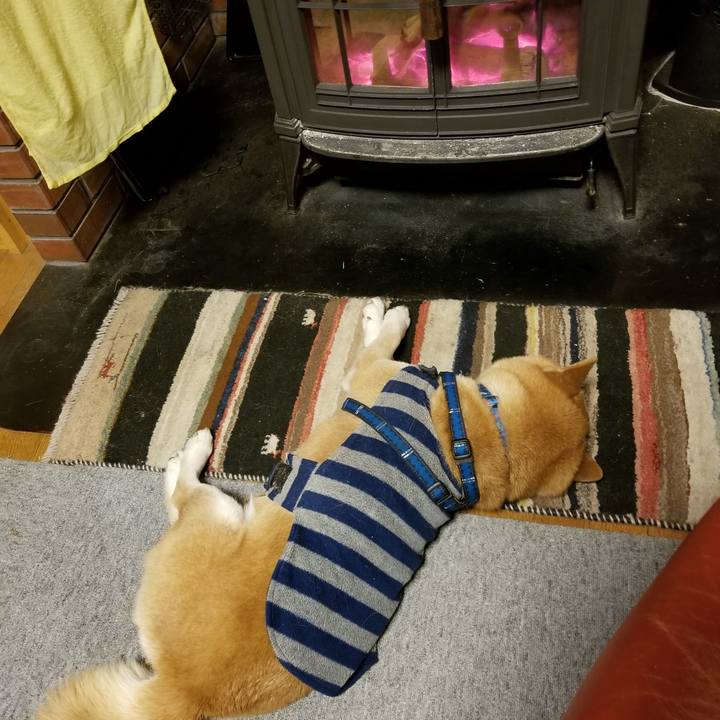 A7e9c3ba e346 4608 af1b 6d445873e11e 1549616782055