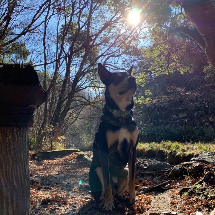 A7ea20fa 4cd3 4a40 9567 46bd3302fec0 1546417263715