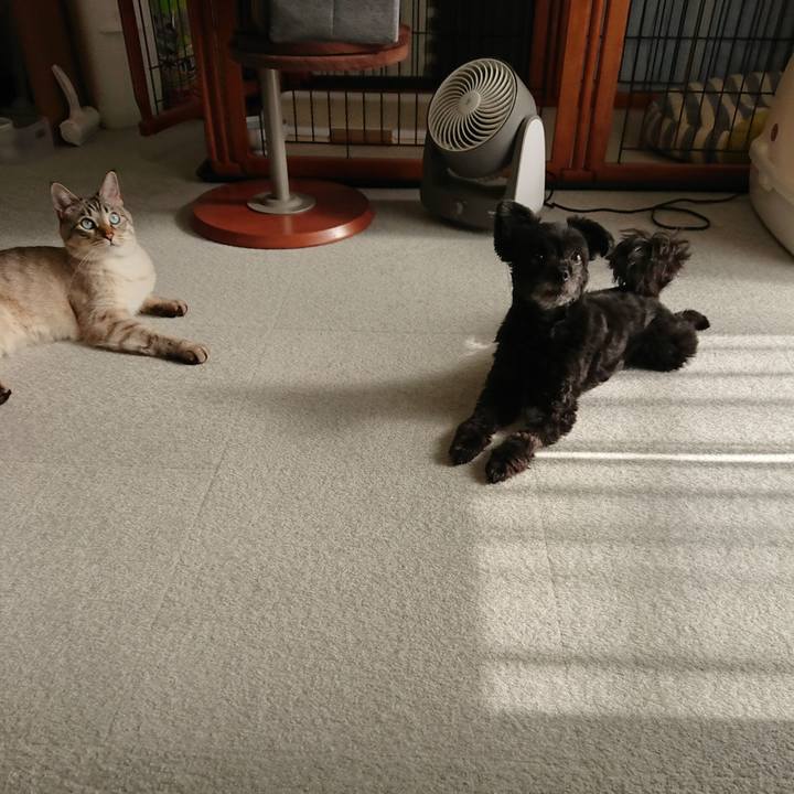 A7ea30fa 1750 4f19 8019 41a1d06b4e44 1557038493932