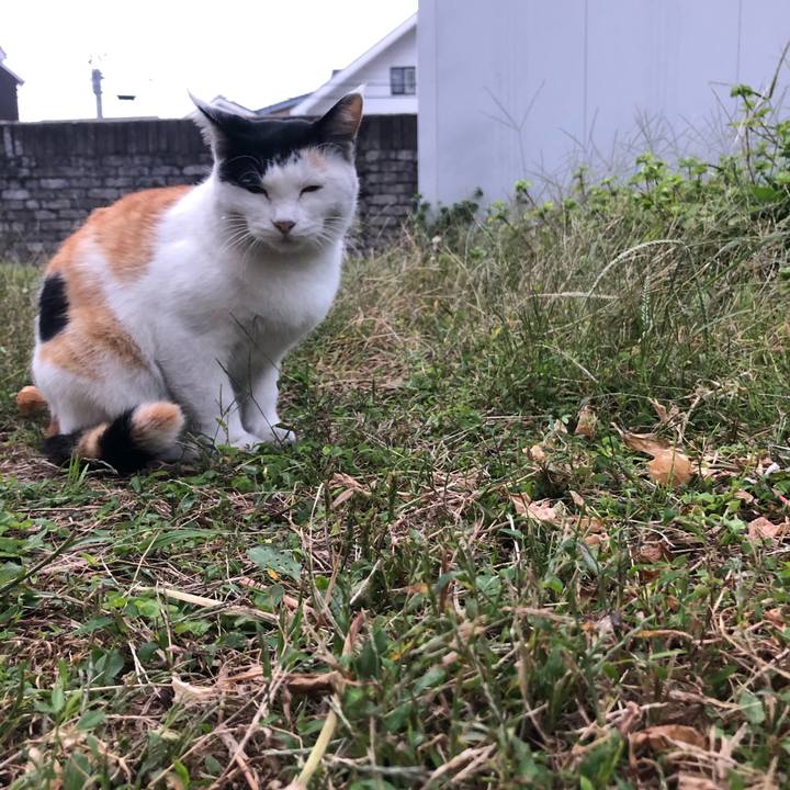 A7ea50b9 f005 4251 a3ea 0d8e4c1f651d 1602109431094