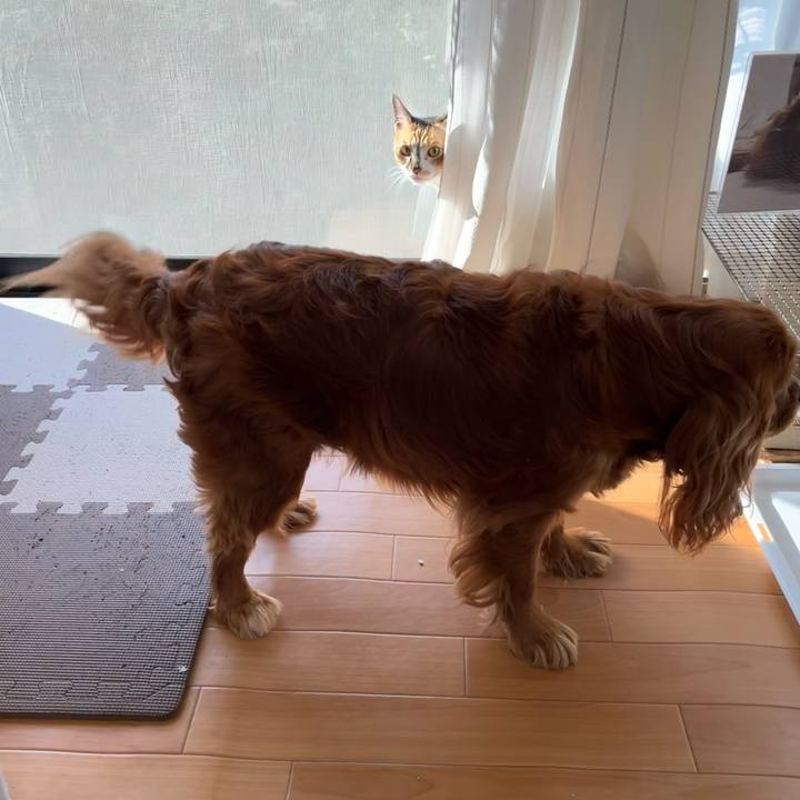 A7ea64af a8b1 4b0f a398 bba1fbdbe365 1684276092722