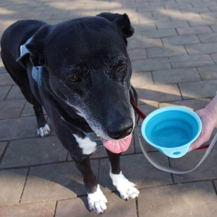 A7eafd24 0d13 4fb8 a675 ab6ae90578ba 1742692242874