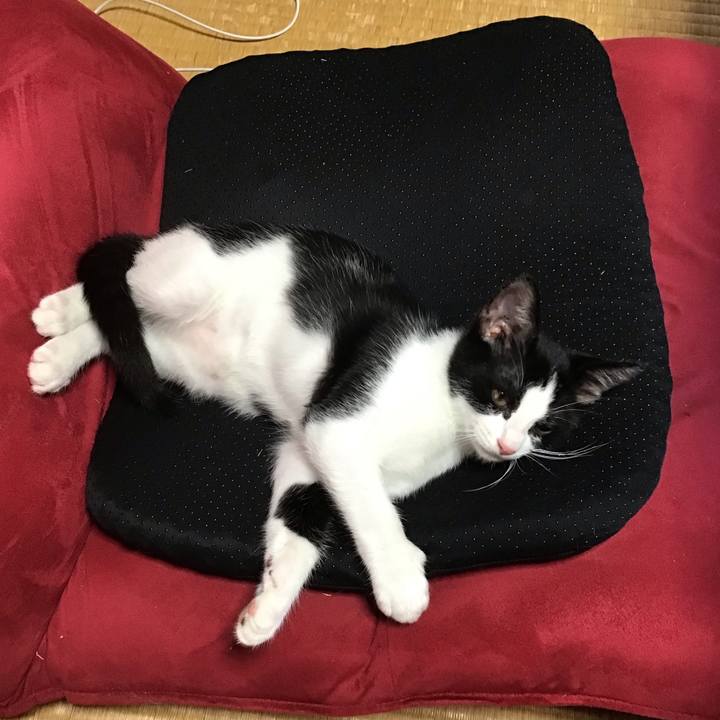 A7eb04c0 fc1e 4051 908d 0e6fdd5ec59b 1626329882575