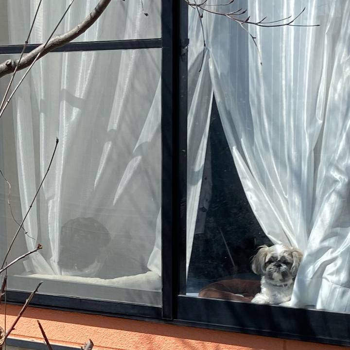 A7eb08bc 4115 4409 a269 97b8dcdf9776 1680707564226