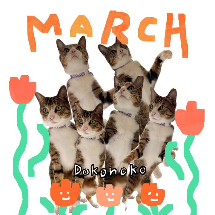 A7eb1925 a861 4ba4 9134 0367c87dc6fe 1741180363303