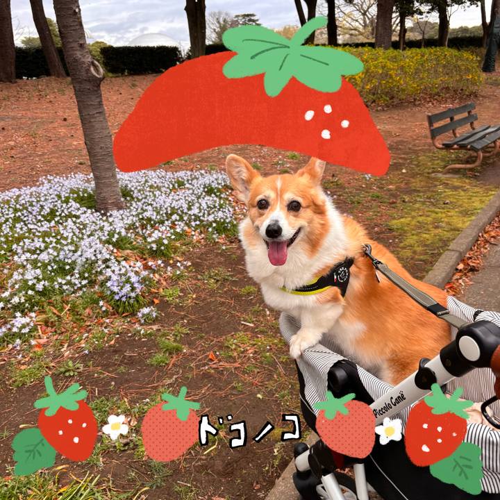 A7eb2df5 93df 4491 81b6 8d0b0265f5f7 1775190801701