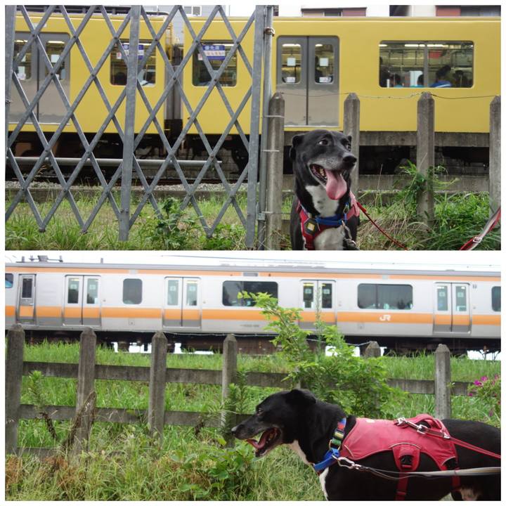 A7eb6ca4 5a1c 4a2e 95cb 58738f23c3fb 1693094206054