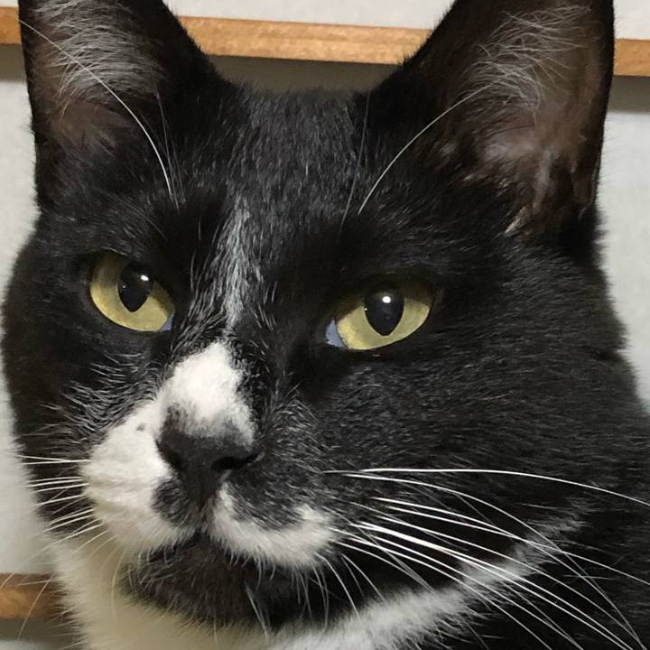 A7eb6f5f 3b09 4b5c a3cb db33b0ad4b94 1601091775525