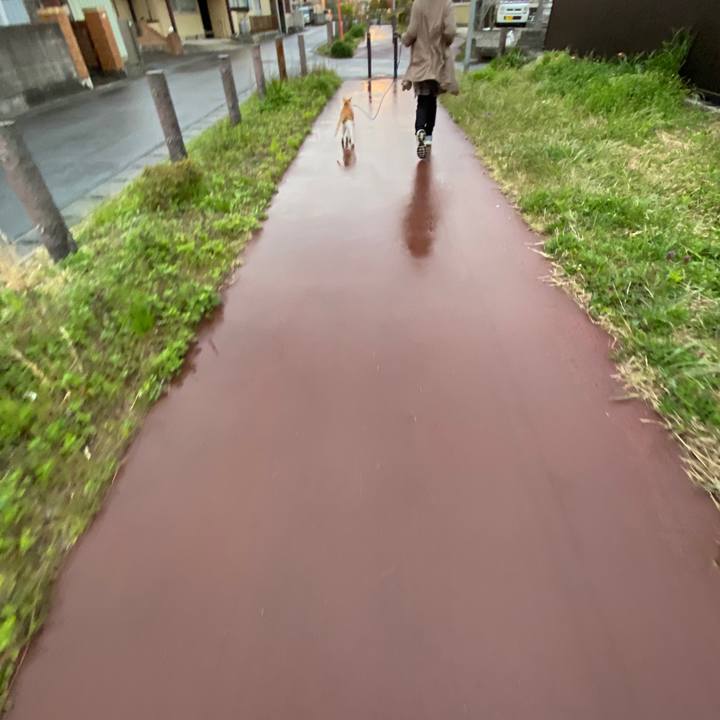 A7eb72d7 6129 4484 a479 5f539c0eb004 1587896841656