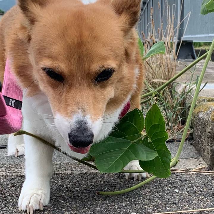 A7eb8f75 37ea 48f0 9575 63143d33c62b 1723077049524