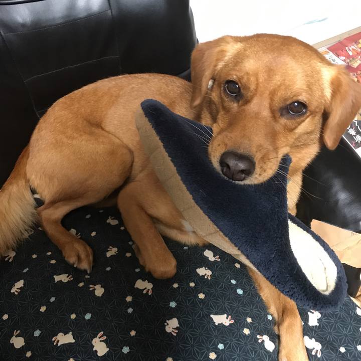 A7eb8f99 dc1d 4861 84d9 2e2ada91a4f1 1509874009074