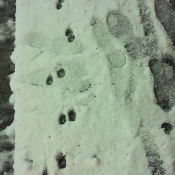 A7eb9280 fdd0 44e2 8763 c81e53255b35 1516628234652