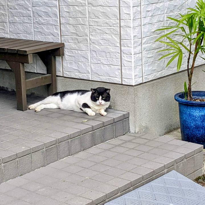 A7ebbd22 2dbd 463a ab87 fa67b4d65bc7 1758353221501