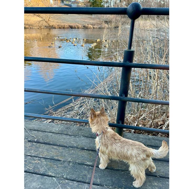 A7ebe698 1f60 4cca 81d0 eae63b67fdf2 1740441277545