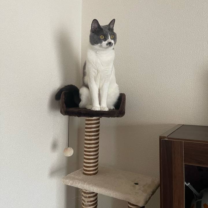 A7ebefe0 ed57 405d 8cdf dd438c02ddf1 1668676824842