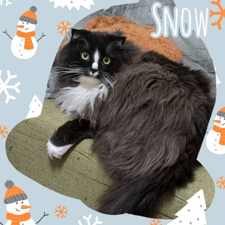 A7ec0200 da85 42ad a666 f8750e690846 1735041744483