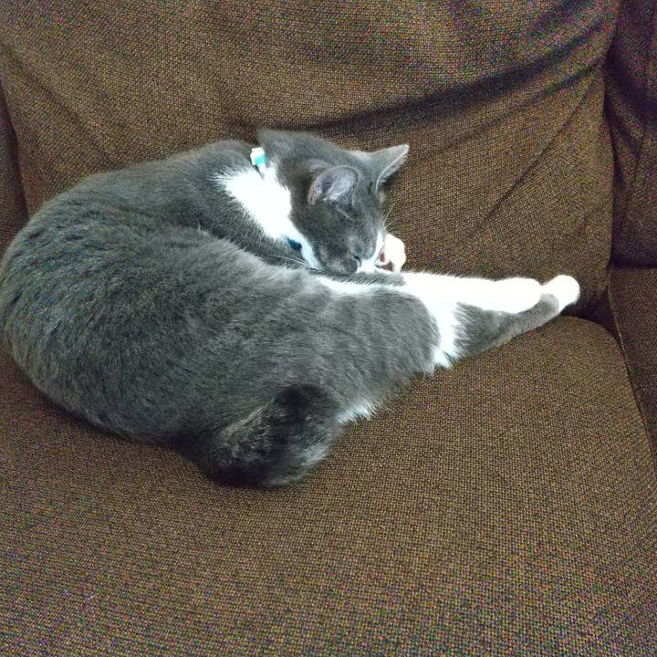 A7ec225f 1dc9 4961 adea 171504d60f3d 1631165963316