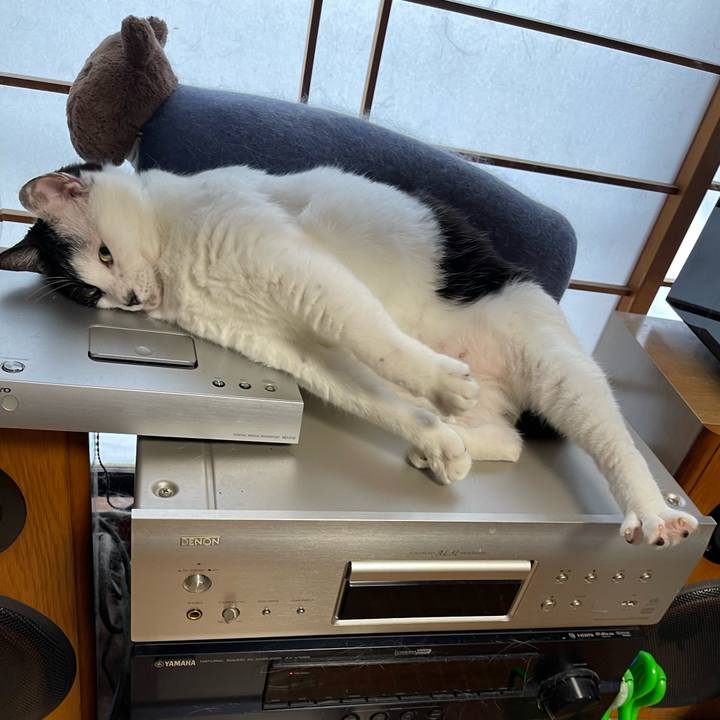 A7ec31dc f598 416f 83bb 4f91d1dd304a 1753138535820